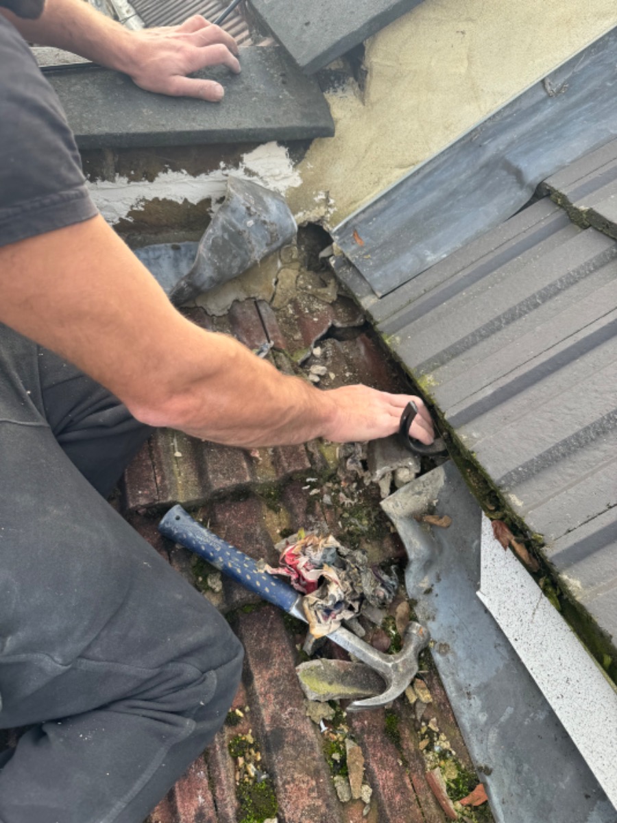 Handyman: Image 2
